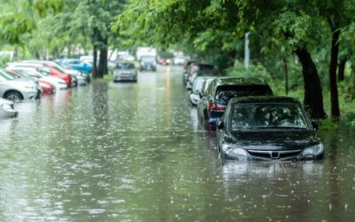 Insurance for Natural Disasters: Are You Covered?